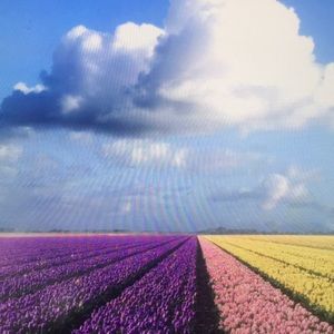 Meet your Posher, Charles